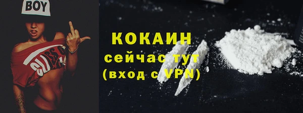 амф Снежногорск