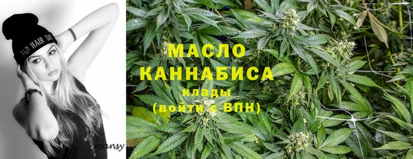 амф Снежногорск