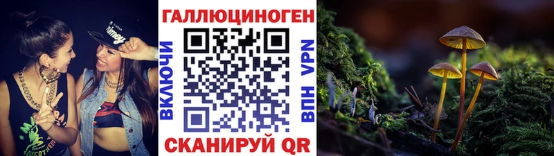 kraken онион  Новоалександровск  Псилоцибиновые грибы Cubensis 