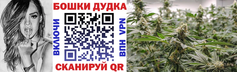 Конопля индика  наркошоп  Новоалександровск 
